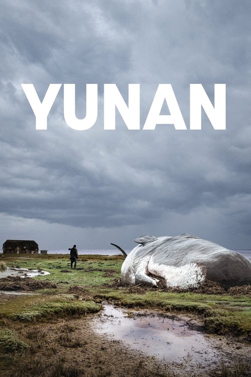 Filmposter: YUNAN